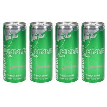 Red Bull 4-pak Redbull Kaktus Summer Edition 